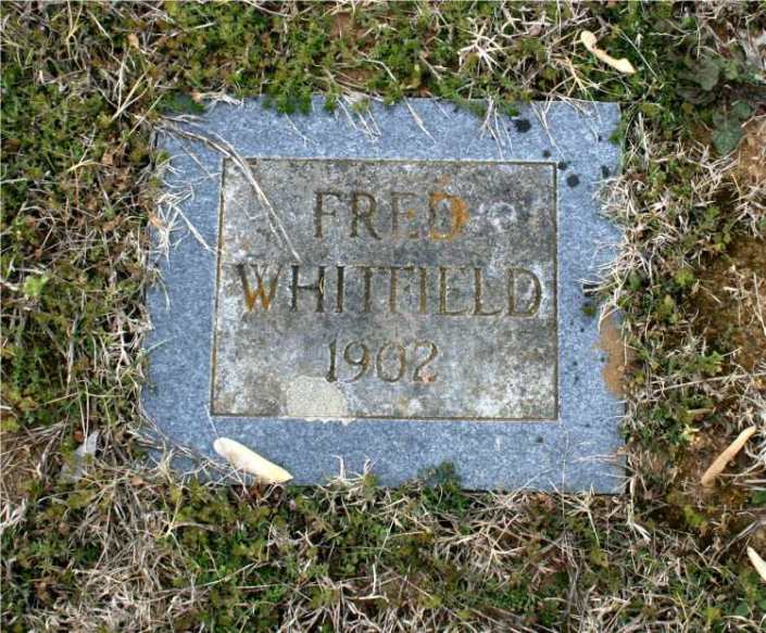 whitfieldfred